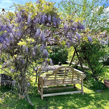 Krista Διαμέρισμα *