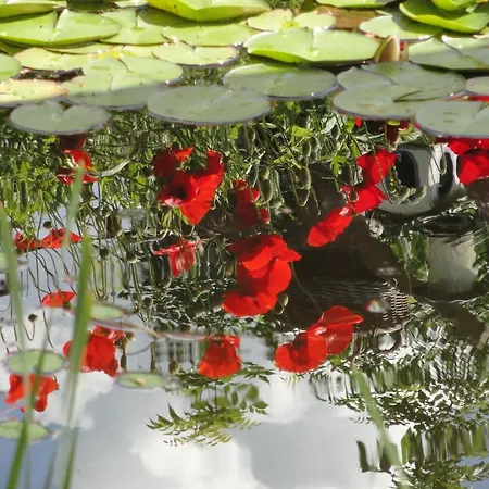 Διαμέρισμα Krista