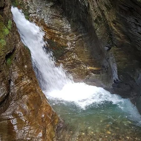 Krista * سيبودن