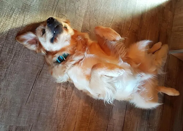 Apartament Krista Seeboden